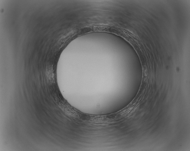 X0000066011252200603030954