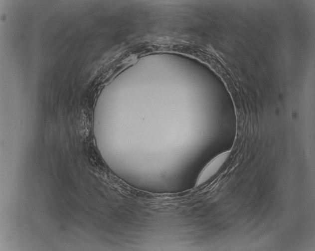 X0000066011253200603030954