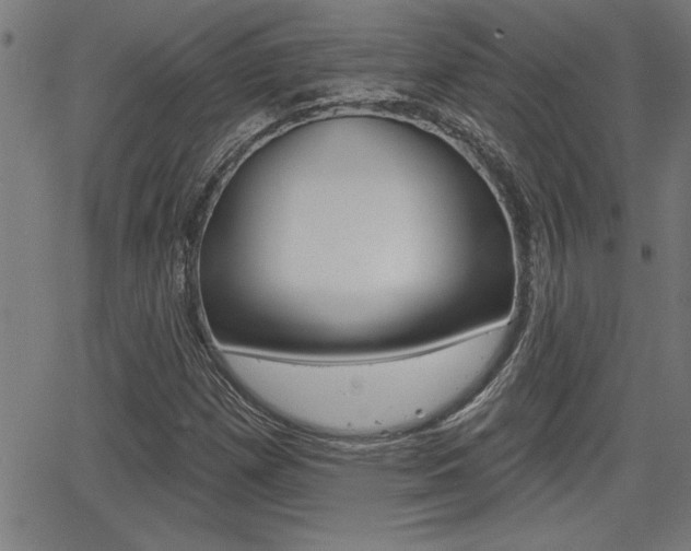 X0000066011257200603030954