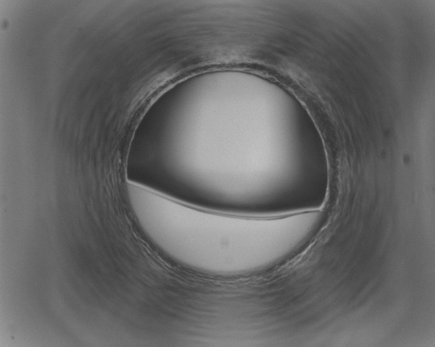 X0000066011265200603030954