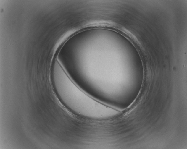 X0000066011277200603030954