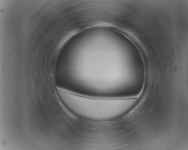 X0000066011281200603030954
