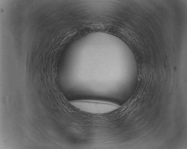 X0000066011297200603030953