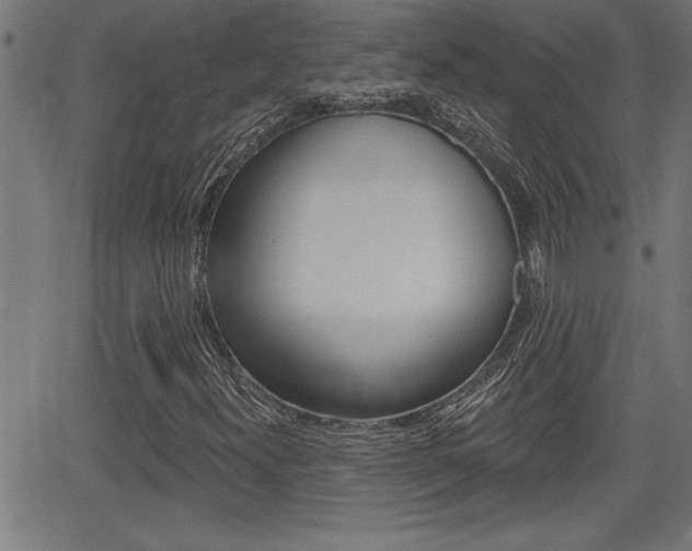 X0000066011300200603030953