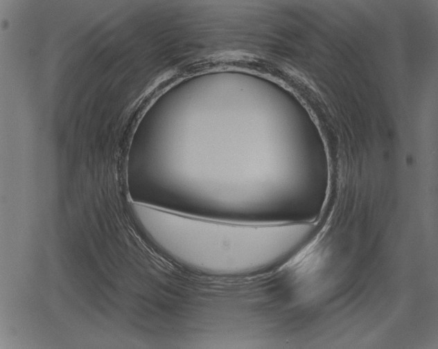 X0000066011305200603030953