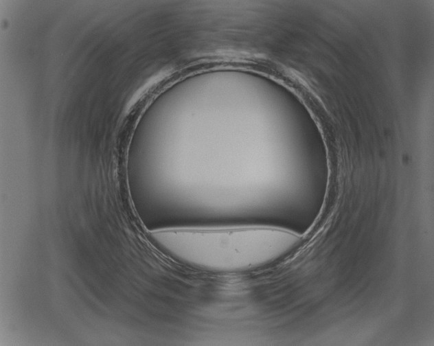 X0000066011307200603030953