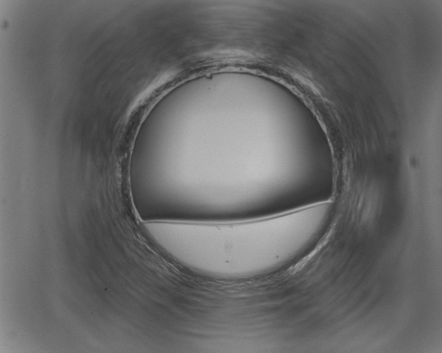 X0000066011309200603030953