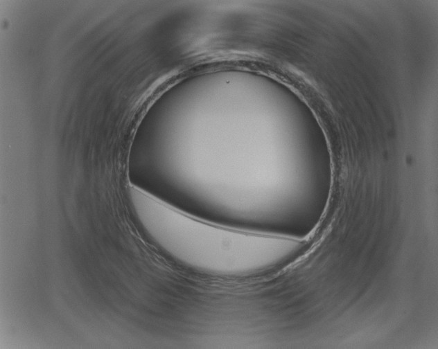 X0000066011313200603030953
