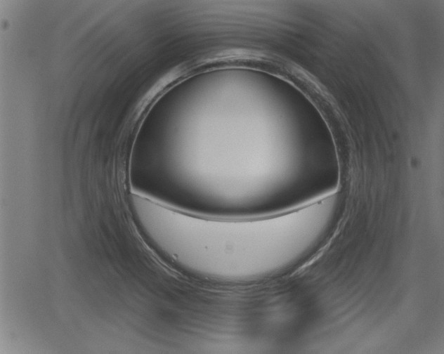 X0000066011321200603030953