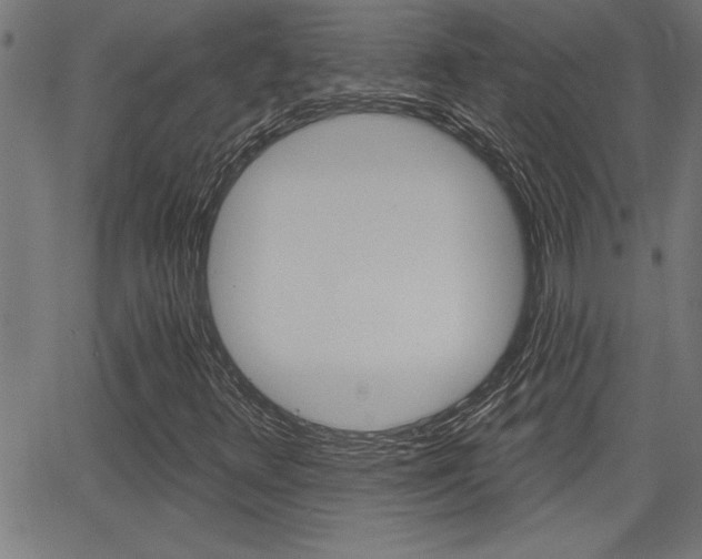 X0000066011348200603030953