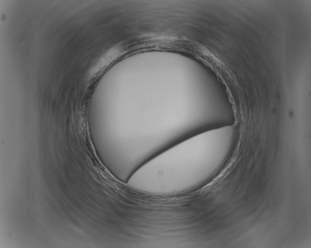 X0000066011354200603030953