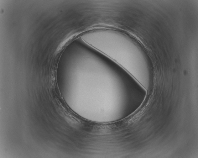 X0000066011355200603030953