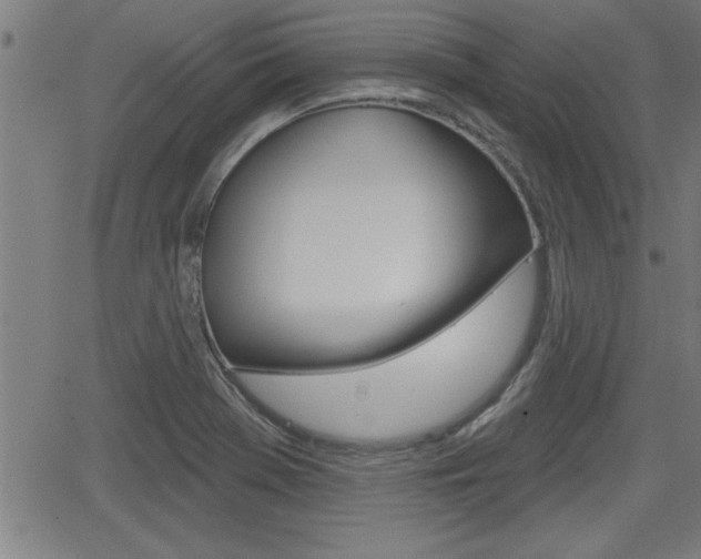 X0000066011369200603030952