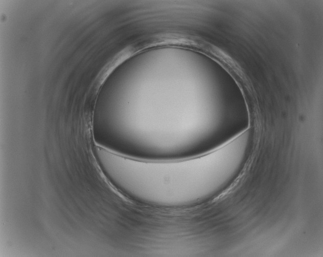 X0000066011377200603030952