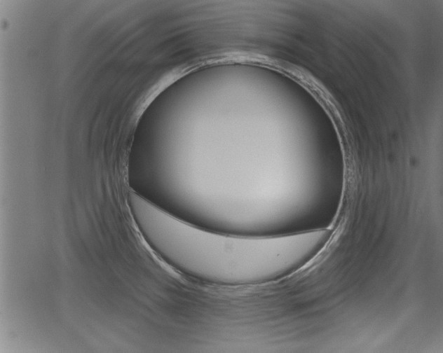 X0000066011385200603030952