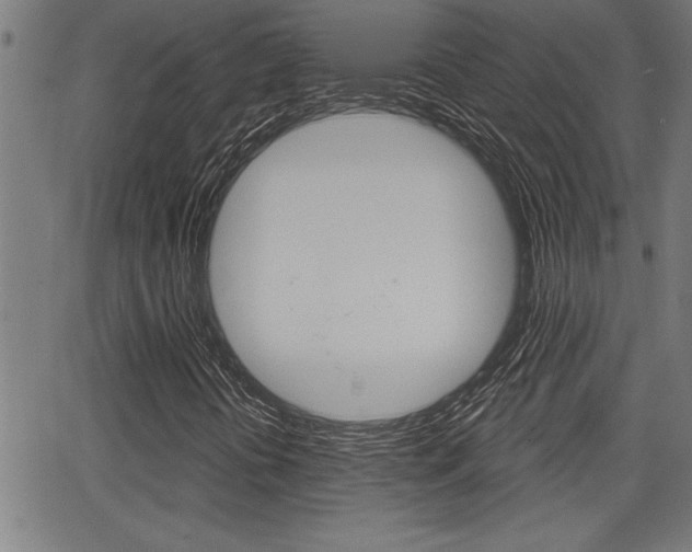 X0000066011394200603030951
