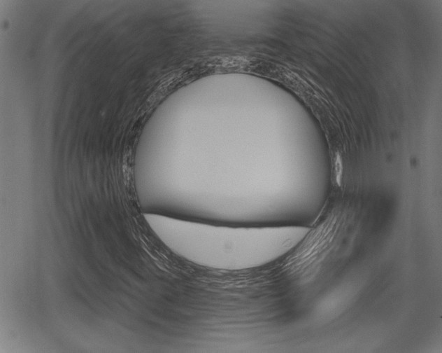 X0000066011395200603030951