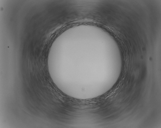 X0000066011398200603030951