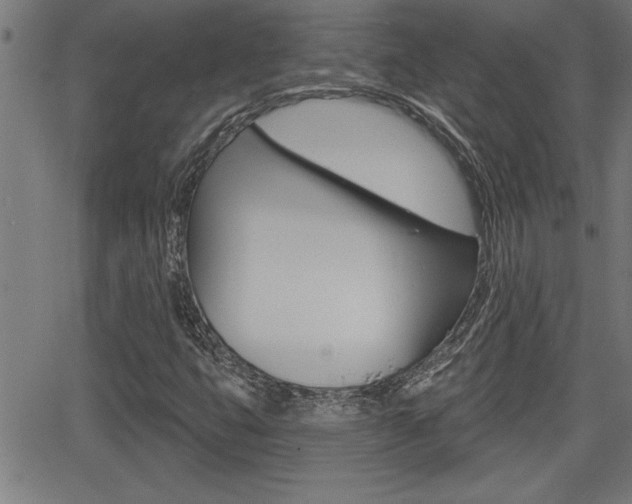 X0000066011399200603030951