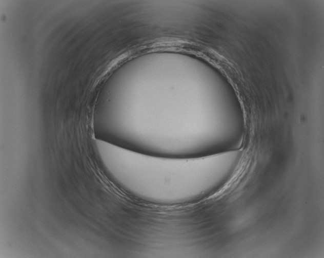 X0000066011401200603030951