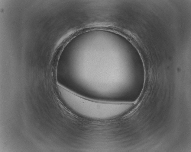 X0000066011406200603030952