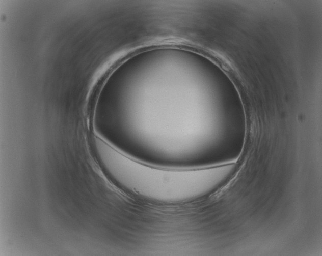 X0000066011414200603030952