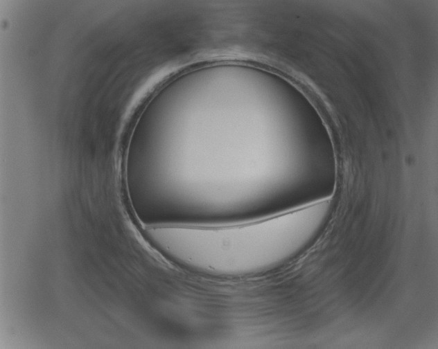 X0000066011416200603030952