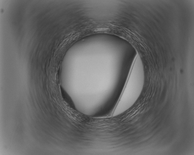 X0000066011441200603030951