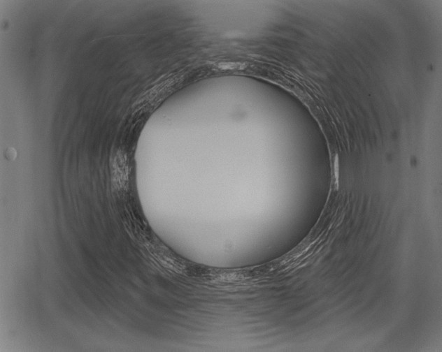 X0000066011443200603030951