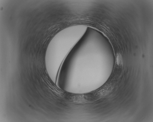 X0000066011444200603030951