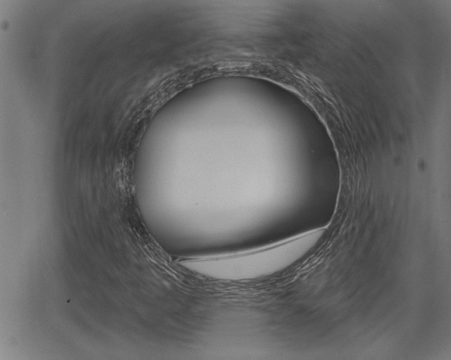 X0000066011445200603030951