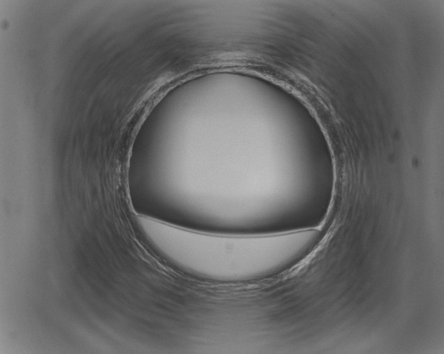 X0000066011449200603030951