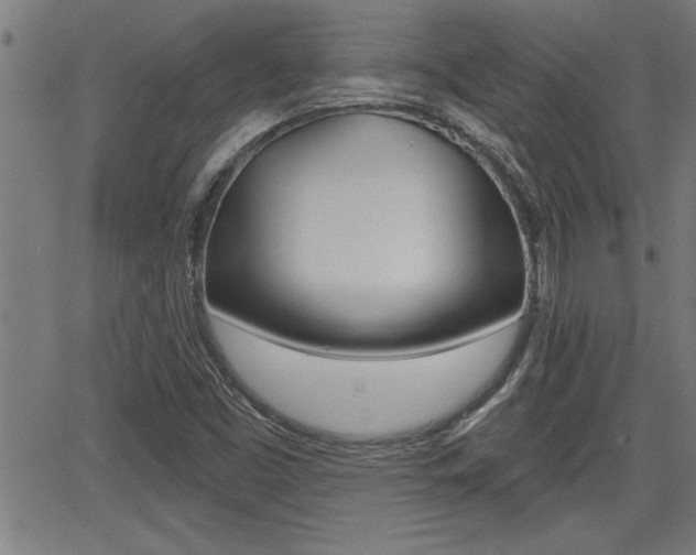 X0000066011453200603030951
