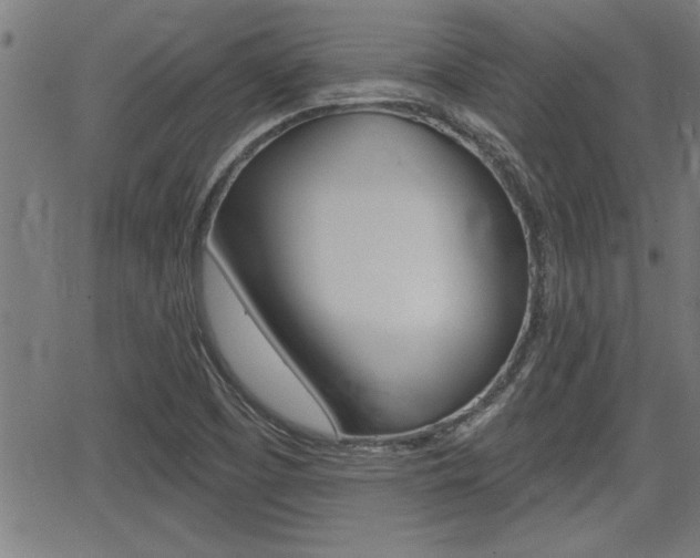 X0000066011457200603030951