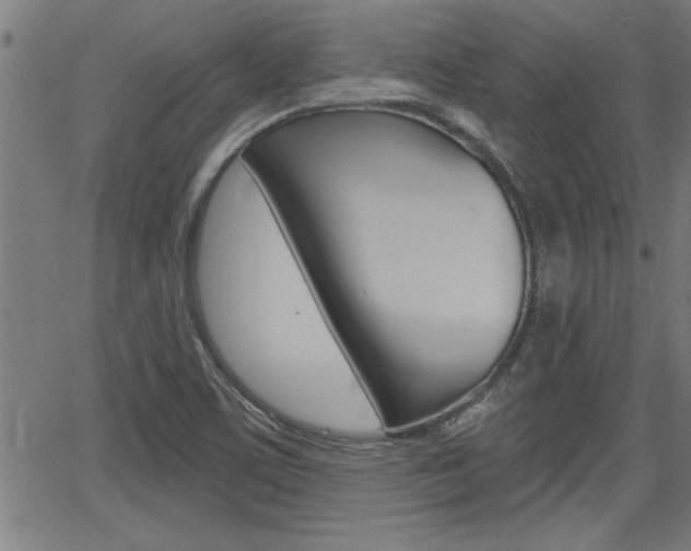 X0000066011459200603030951