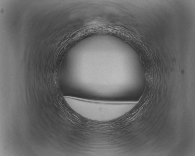 X0000066011490200603030950