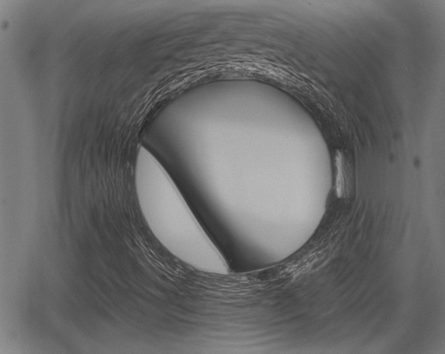 X0000066011491200603030950