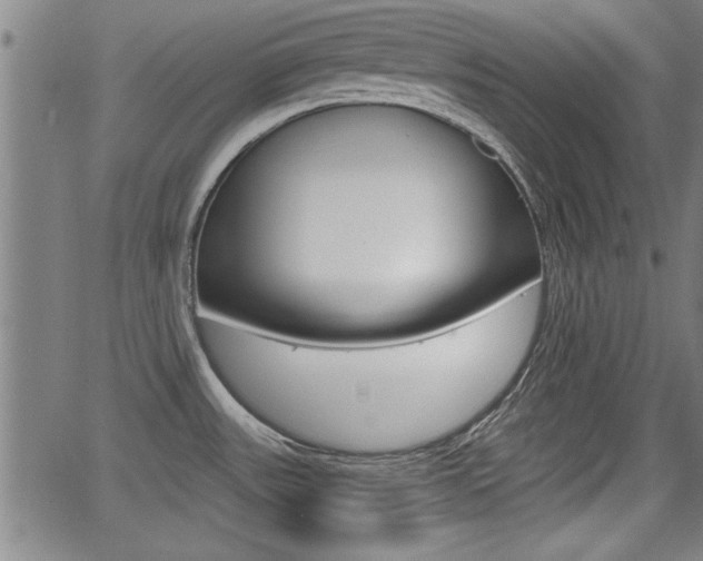 X0000066011531200603030950
