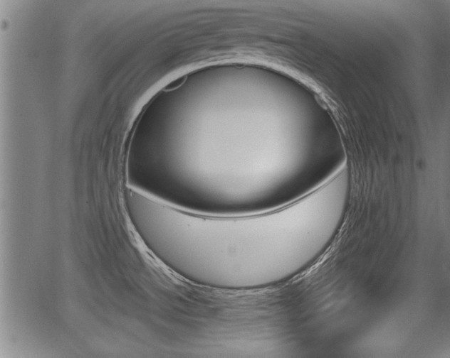 X0000066011534200603030951