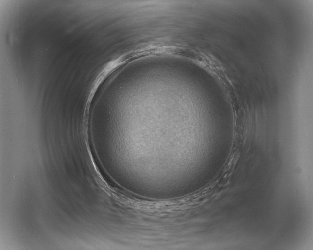 X0000066010003200603031235
