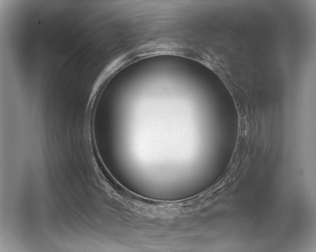 X0000066010004200603031235