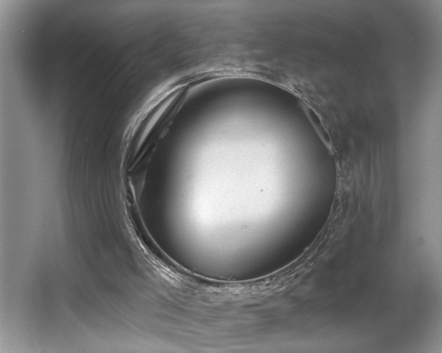 X0000066010005200603031235