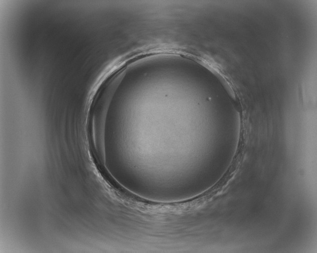 X0000066010007200603031235