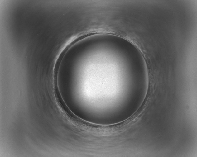 X0000066010008200603031235