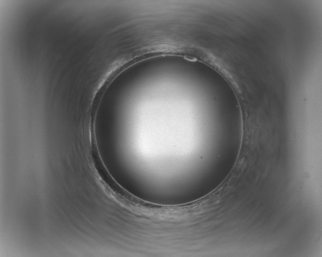 X0000066010011200603031235