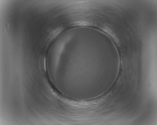 X0000066010014200603031235