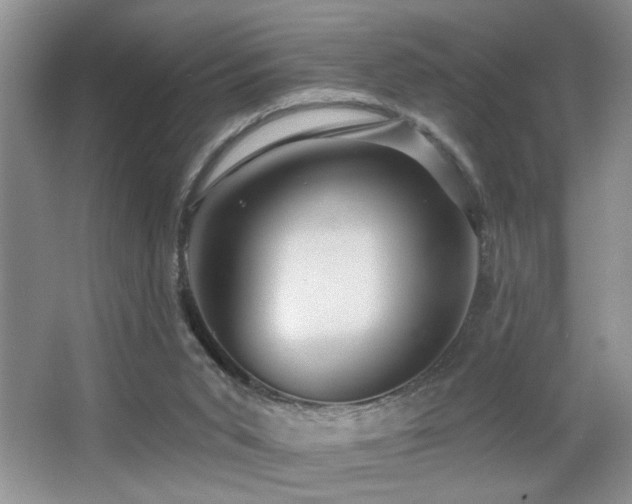 X0000066010015200603031235