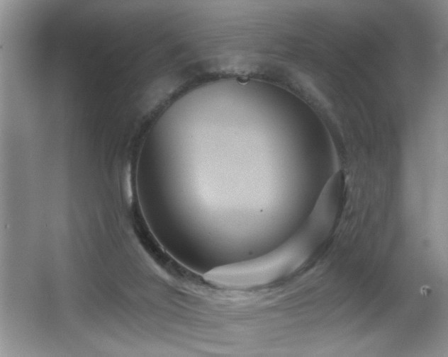 X0000066010020200603031235