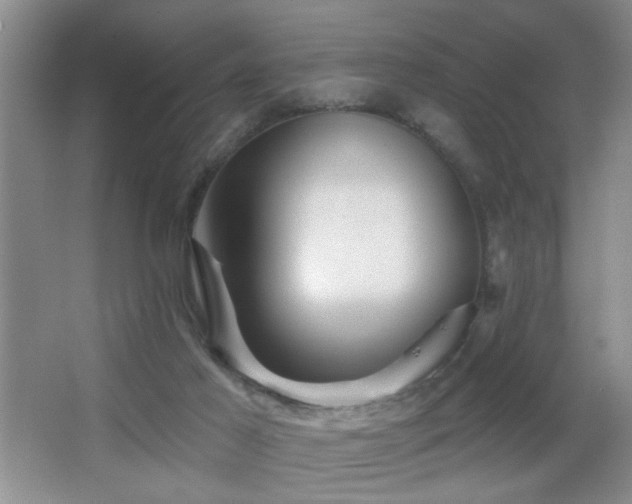 X0000066010021200603031235