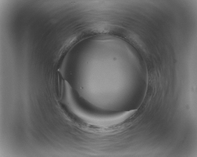 X0000066010023200603031235